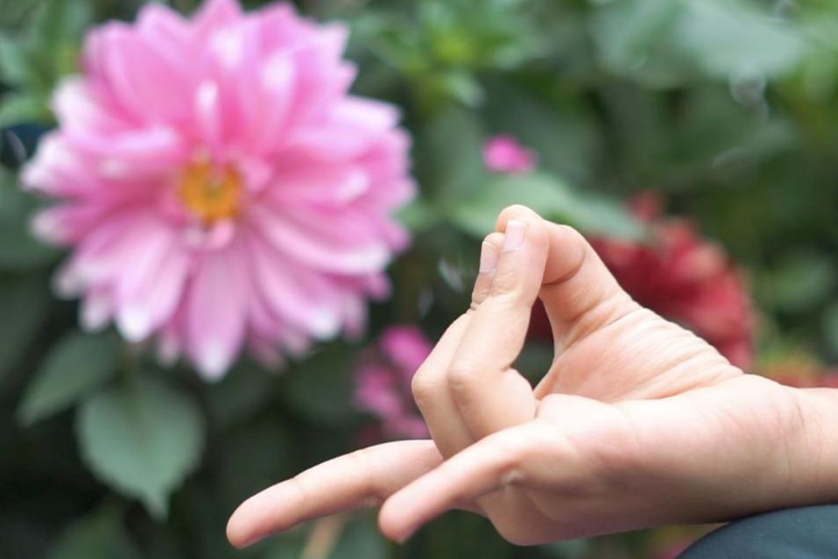 Yogavidya-Yoga-Mudra-Aug24