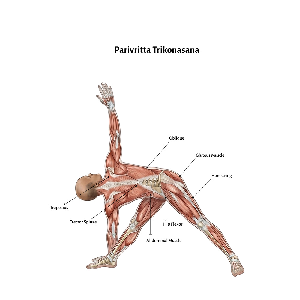 Parivritta Trikonasana