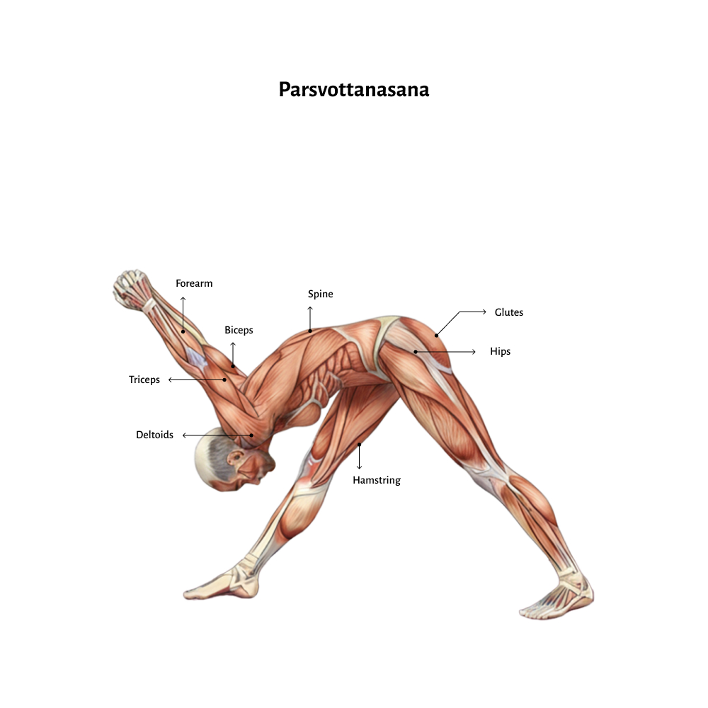 Parsvottanasana