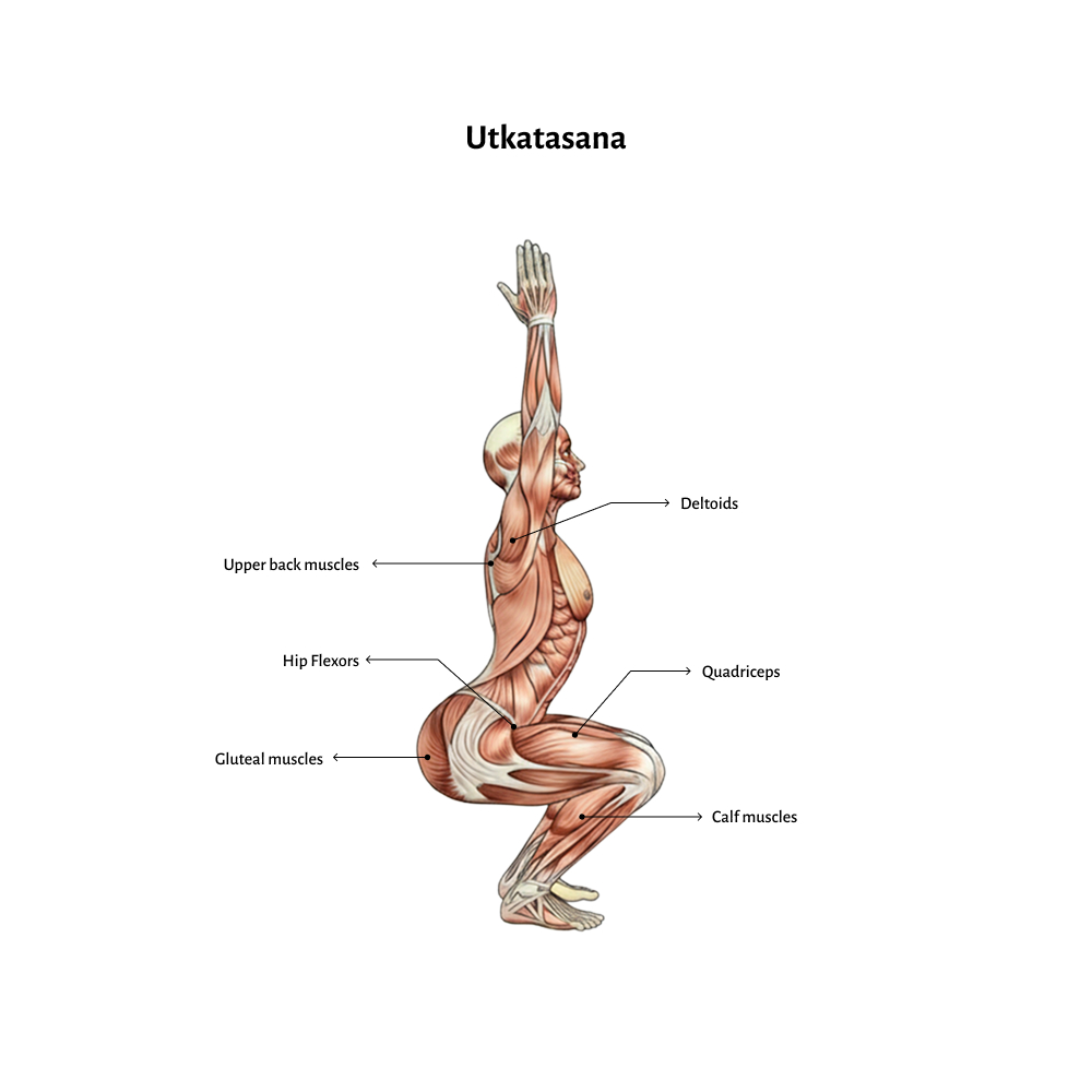 Utkatasana (1)