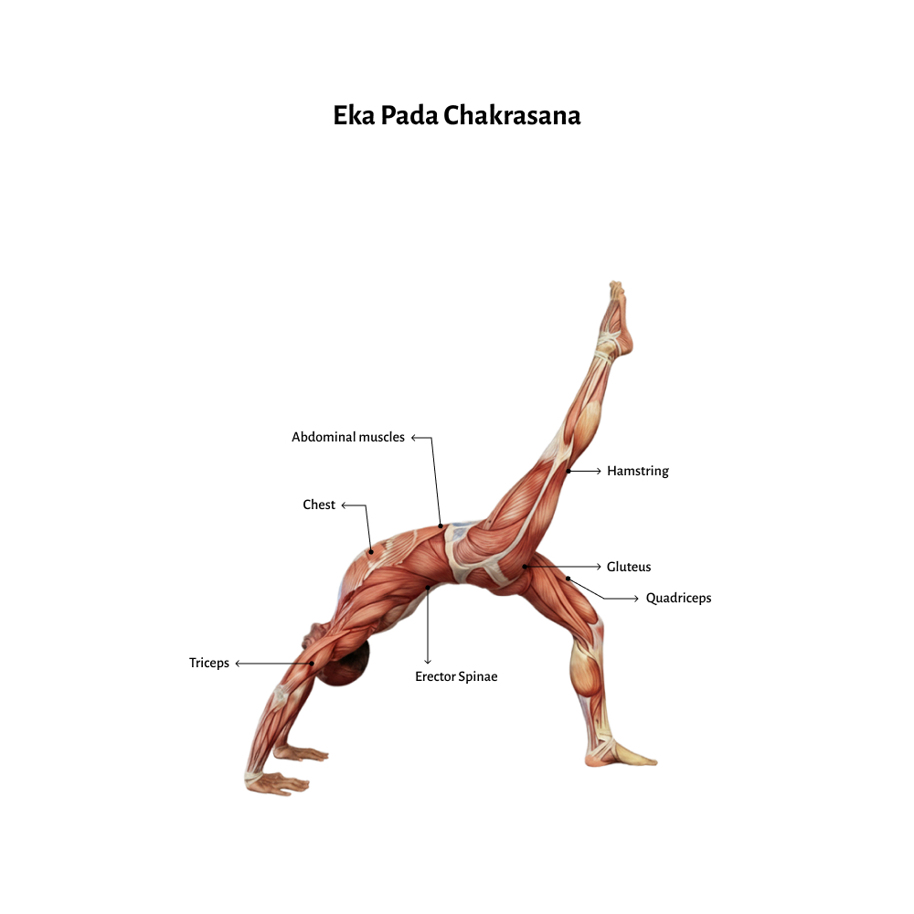 Eka Pada Chakrasana
