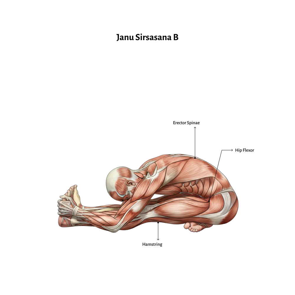 Janu Sirsasana B
