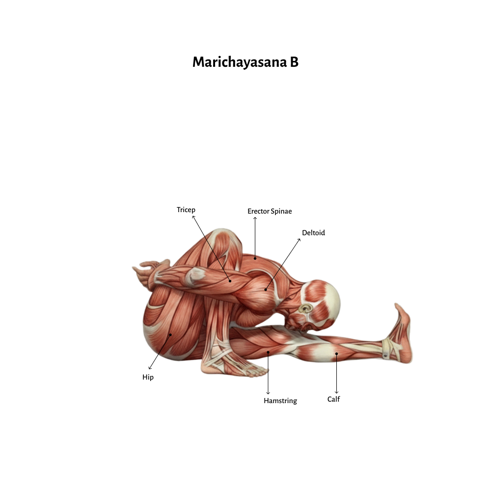 Marichayasana B