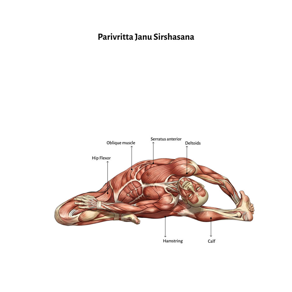 Parivritta Janu Sirshasana