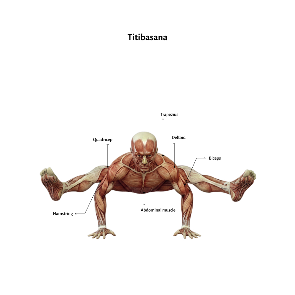 Titibasana