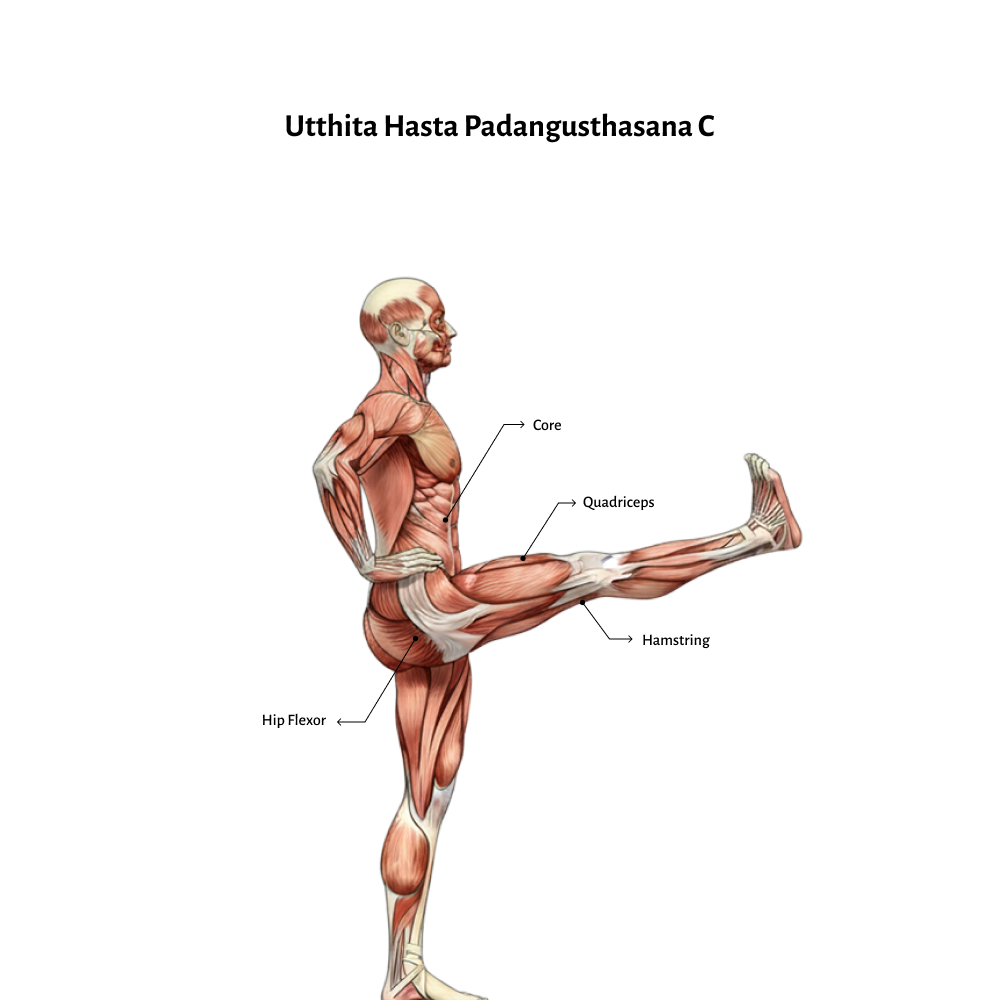 Utthita Hasta Padangusthasana C (1)