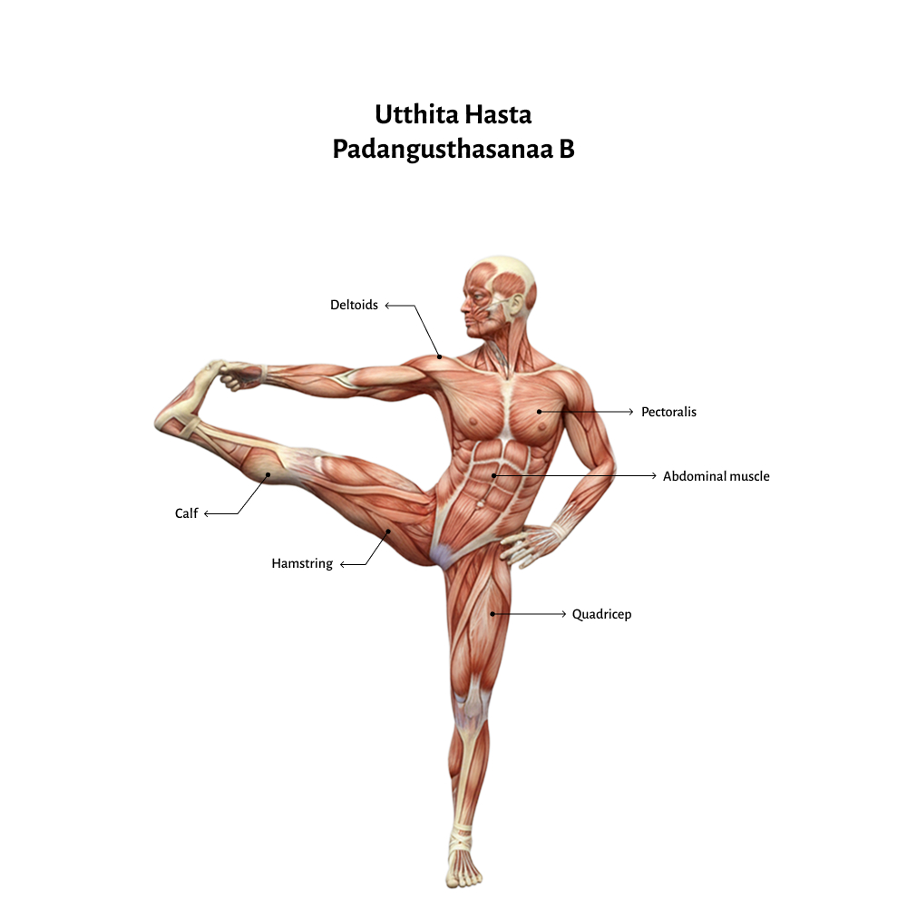 Utthita Hasta Padangusthasanaa B (1)