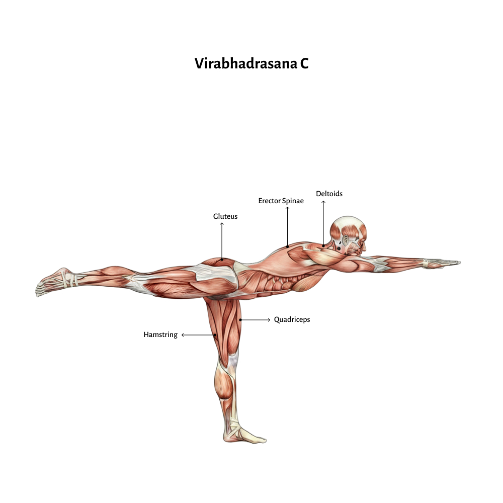 Virabhadrasana C