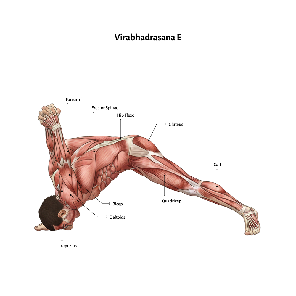 Virabhadrasana E