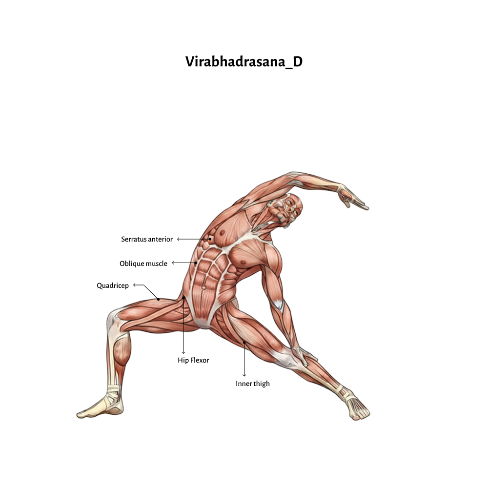Virabhadrasana_D
